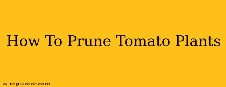 How To Prune Tomato Plants