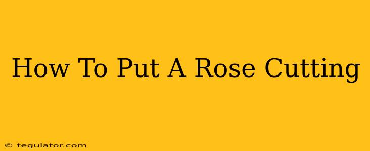 How To Put A Rose Cutting