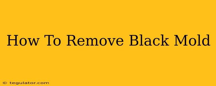 How To Remove Black Mold