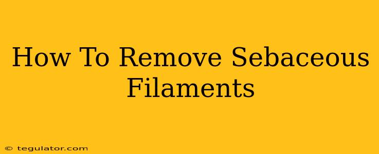 How To Remove Sebaceous Filaments