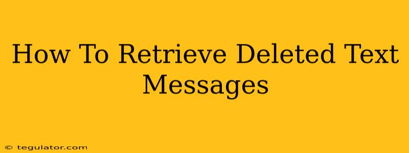 How To Retrieve Deleted Text Messages