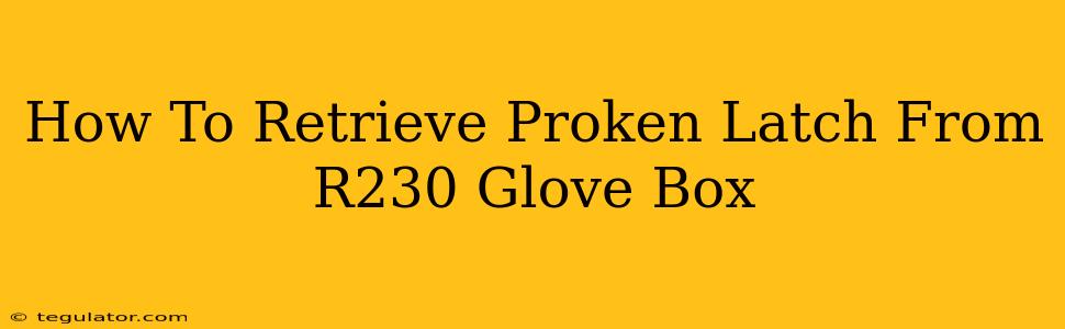 How To Retrieve Proken Latch From R230 Glove Box