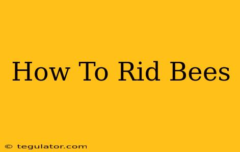 How To Rid Bees