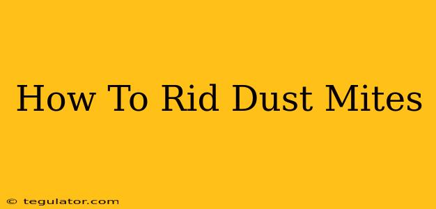 How To Rid Dust Mites