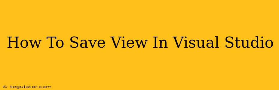 How To Save View In Visual Studio