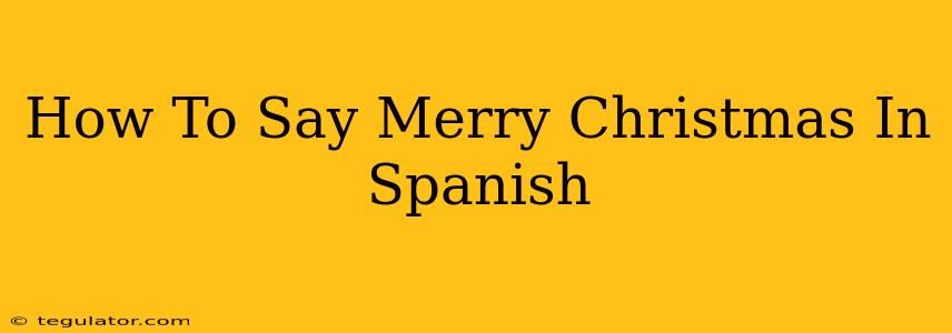 How To Say Merry Christmas In Spanish