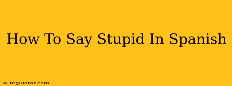 How To Say Stupid In Spanish