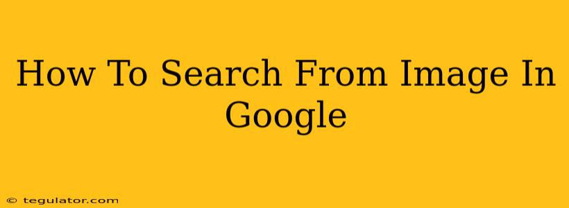 How To Search From Image In Google