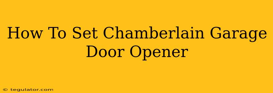 How To Set Chamberlain Garage Door Opener