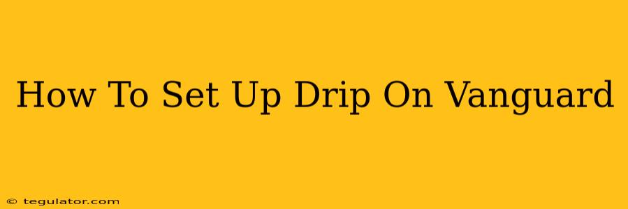 How To Set Up Drip On Vanguard