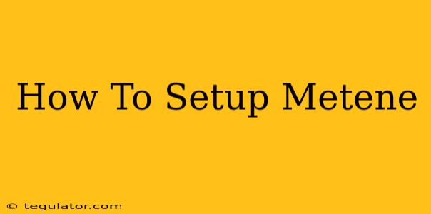 How To Setup Metene