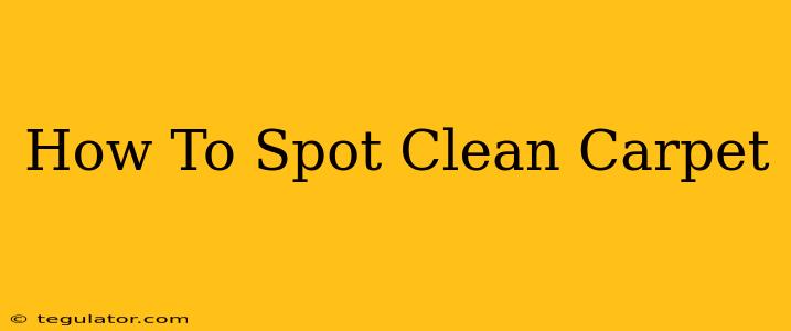 How To Spot Clean Carpet