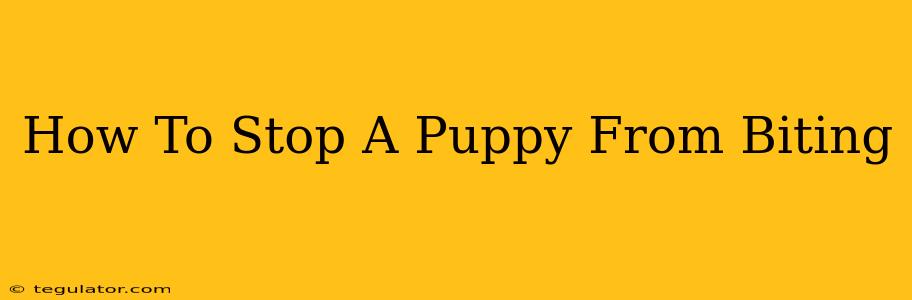 How To Stop A Puppy From Biting