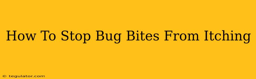 How To Stop Bug Bites From Itching