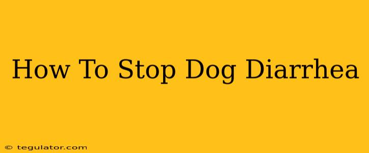 How To Stop Dog Diarrhea