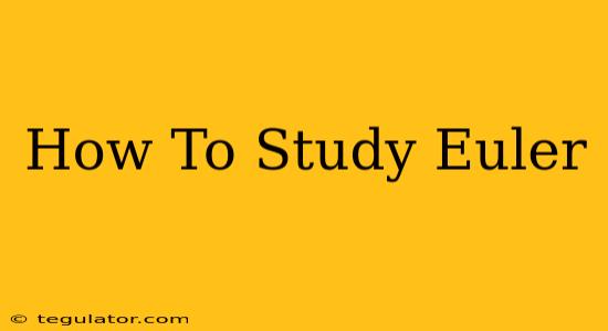 How To Study Euler