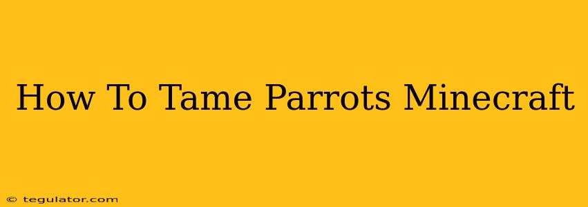 How To Tame Parrots Minecraft