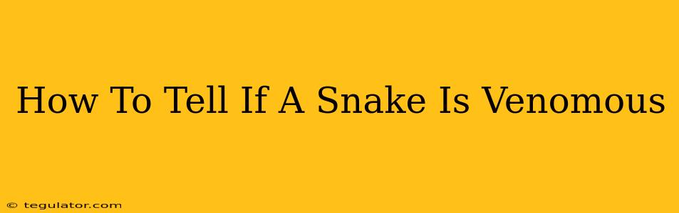 How To Tell If A Snake Is Venomous