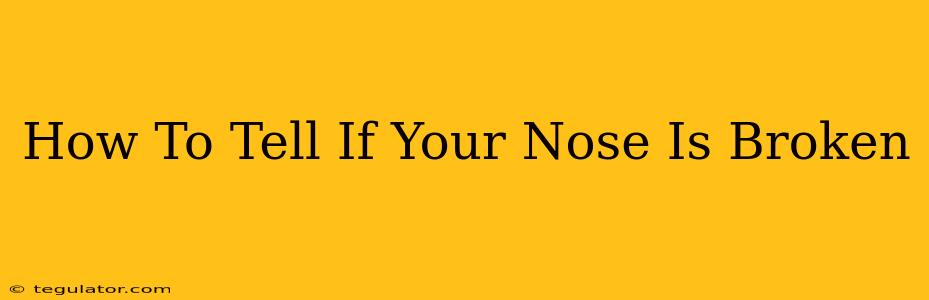 How To Tell If Your Nose Is Broken