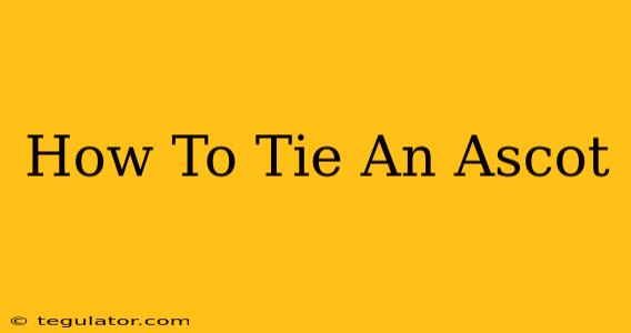 How To Tie An Ascot