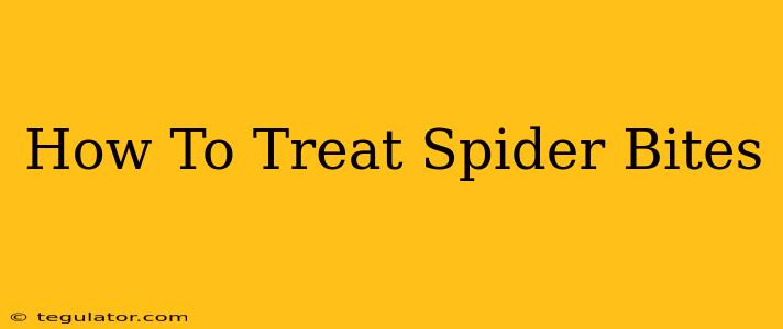 How To Treat Spider Bites