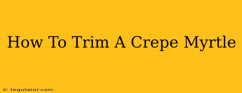 How To Trim A Crepe Myrtle