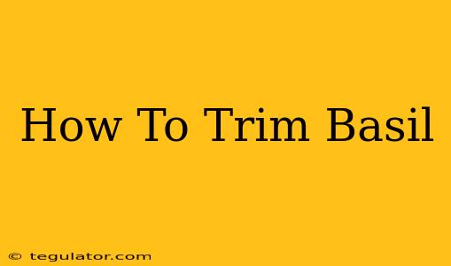 How To Trim Basil