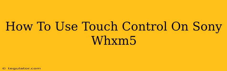 How To Use Touch Control On Sony Whxm5