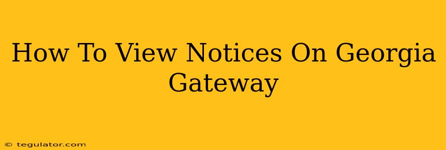 How To View Notices On Georgia Gateway