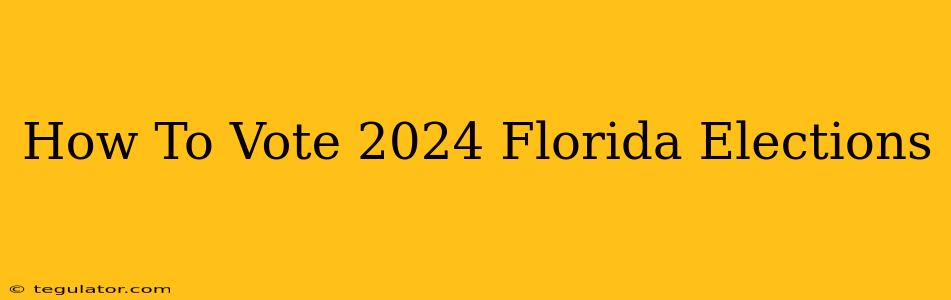 How To Vote 2024 Florida Elections