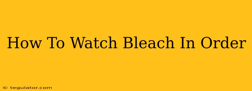 How To Watch Bleach In Order