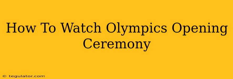 How To Watch Olympics Opening Ceremony