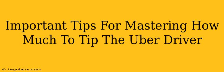 Important Tips For Mastering How Much To Tip The Uber Driver