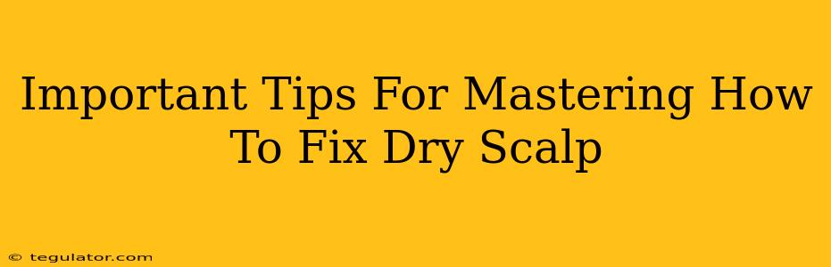 Important Tips For Mastering How To Fix Dry Scalp