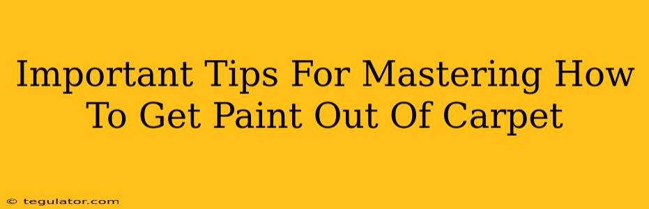 Important Tips For Mastering How To Get Paint Out Of Carpet