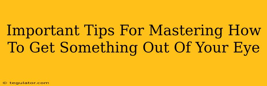 Important Tips For Mastering How To Get Something Out Of Your Eye