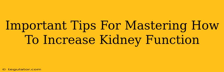 Important Tips For Mastering How To Increase Kidney Function