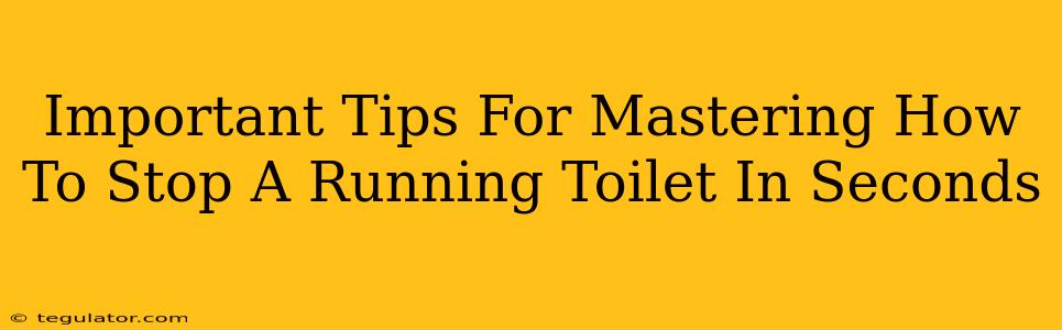 Important Tips For Mastering How To Stop A Running Toilet In Seconds