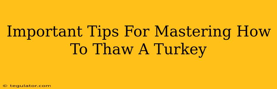 Important Tips For Mastering How To Thaw A Turkey