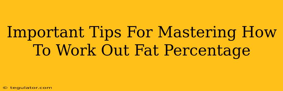 Important Tips For Mastering How To Work Out Fat Percentage