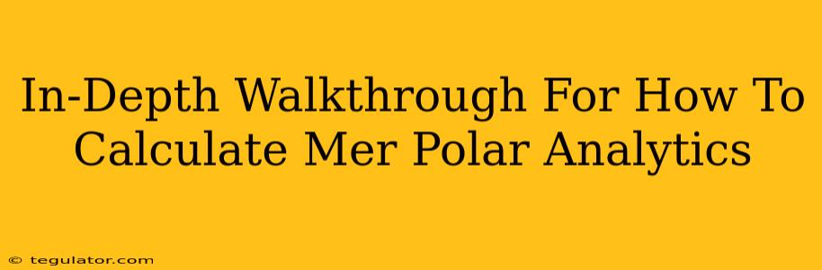 In-Depth Walkthrough For How To Calculate Mer Polar Analytics