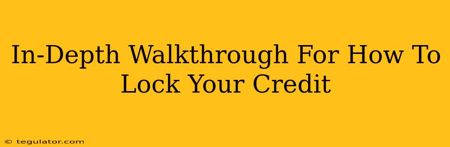 In-Depth Walkthrough For How To Lock Your Credit