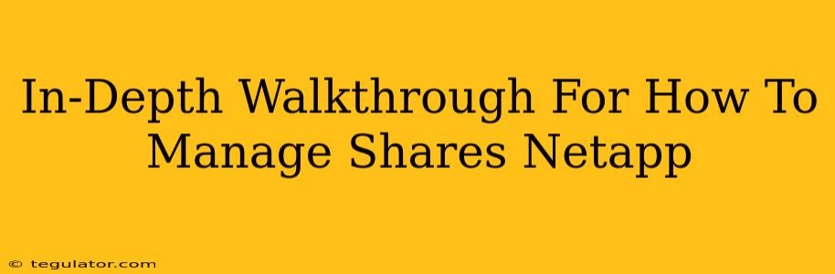 In-Depth Walkthrough For How To Manage Shares Netapp