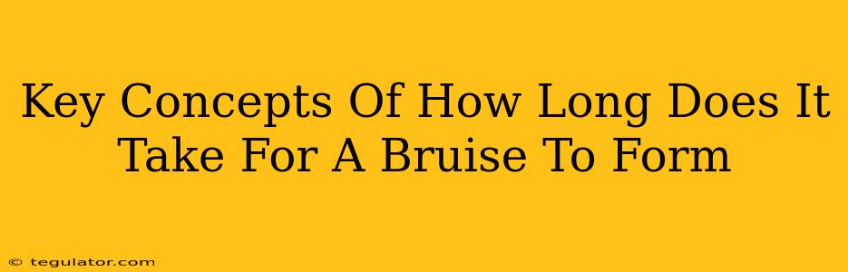 Key Concepts Of How Long Does It Take For A Bruise To Form