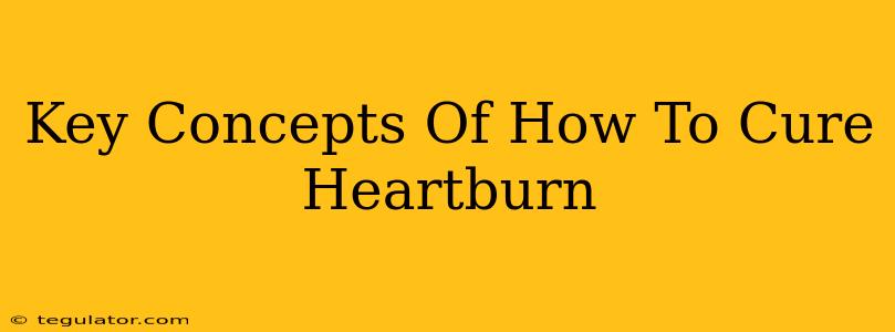 Key Concepts Of How To Cure Heartburn