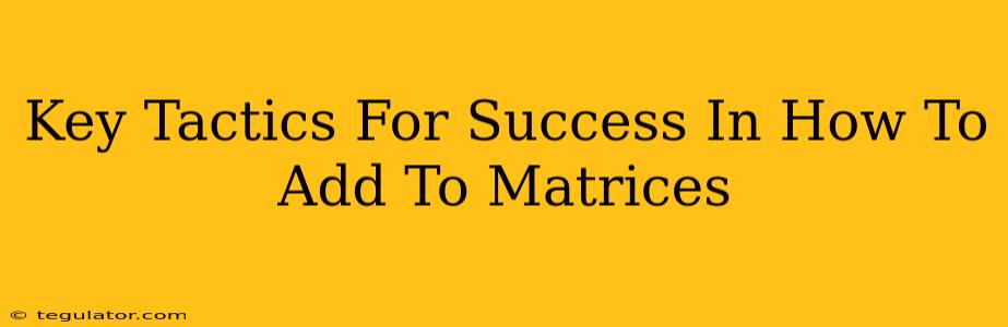 Key Tactics For Success In How To Add To Matrices