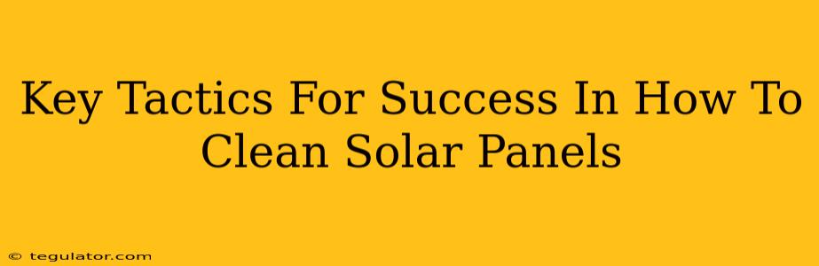 Key Tactics For Success In How To Clean Solar Panels