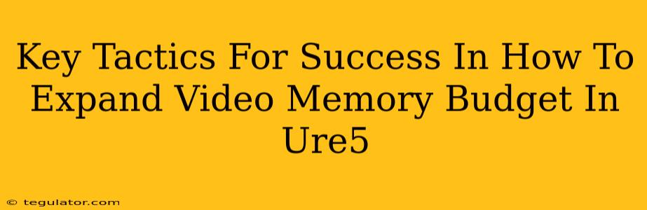 Key Tactics For Success In How To Expand Video Memory Budget In Ure5