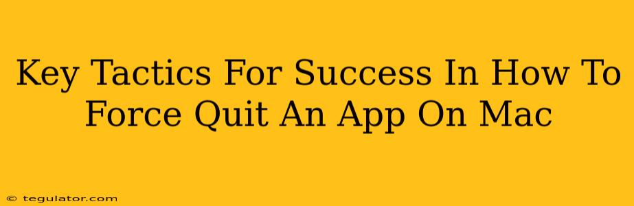 Key Tactics For Success In How To Force Quit An App On Mac