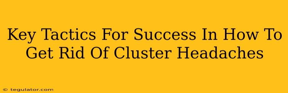 Key Tactics For Success In How To Get Rid Of Cluster Headaches